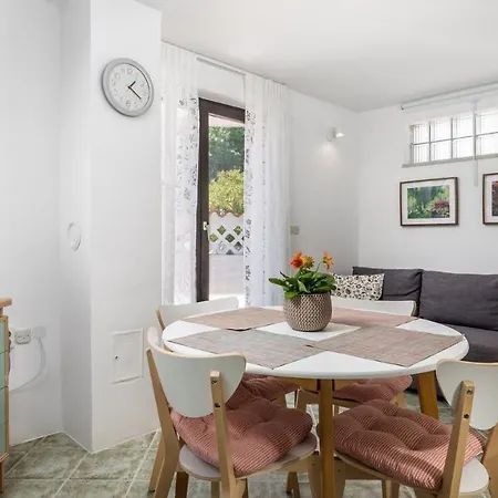 Rona Lavanda And Lipa *