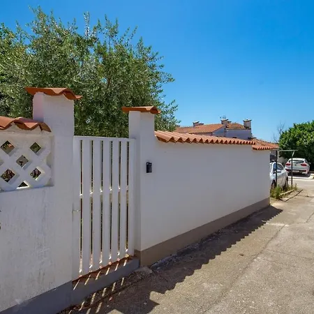 Rona Lavanda And Lipa *