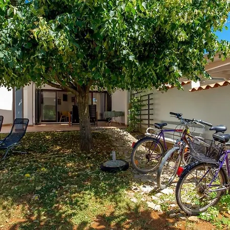 Rona Lavanda And Lipa Barbariga