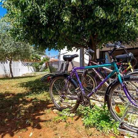 Rona Lavanda And Lipa Appartement